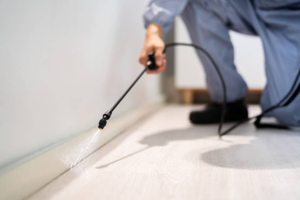 Licensed Rodent Control service in Taft Heights, CA - Nex Pest Control