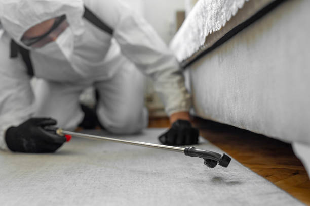 Professional Rodent Control technician working in Taft Heights, CA
