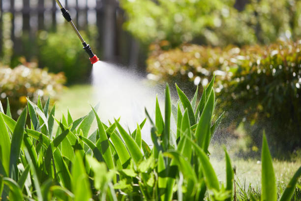 24/7 Emergency Rodent Control experts in Taft Heights, CA
