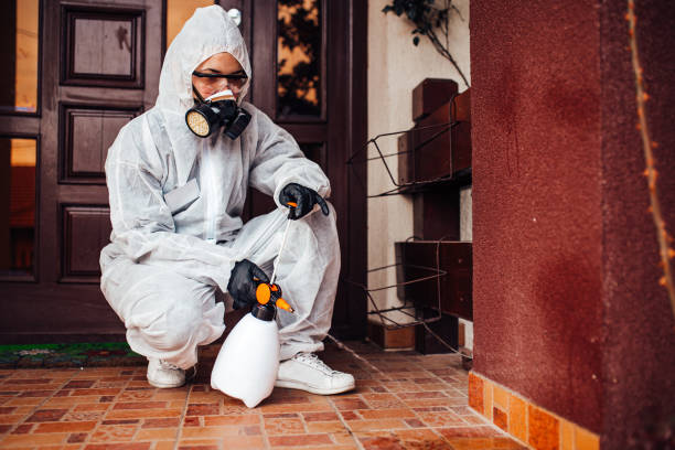 Reliable Rodent Control contractor in Taft Heights, CA by Nex Pest Control