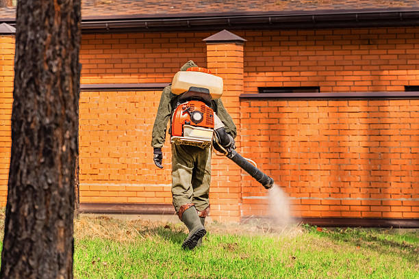 Trusted Cockroach Control service in Taft Heights, CA - Nex Pest Control